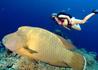 Sharm El Sheikh Diving Holiday